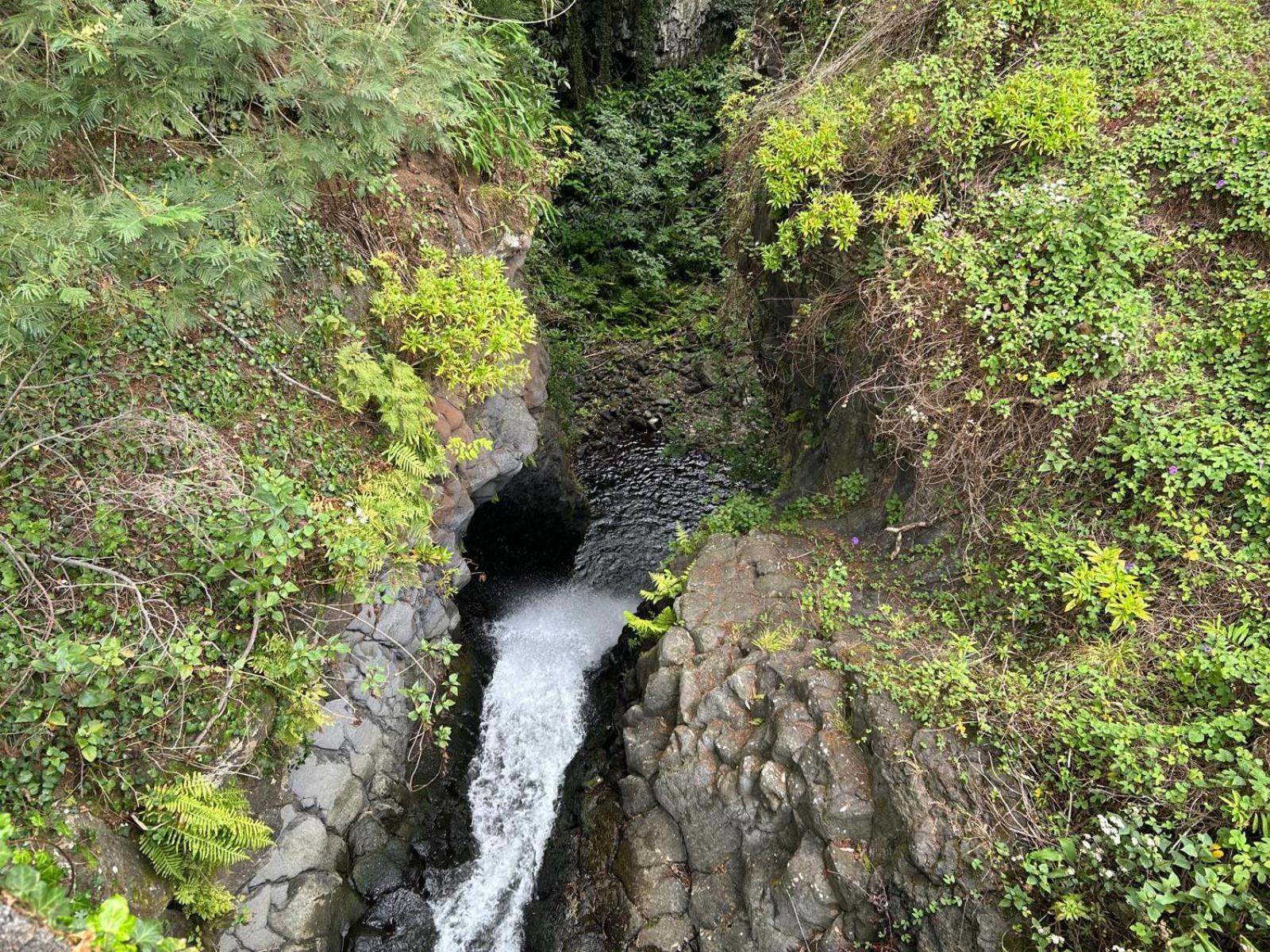 Residencia Do Saramago Holiday home Sao Vicente (Madeira)